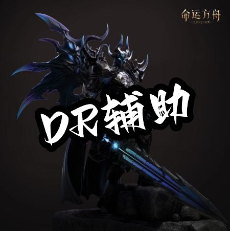 晶核DR辅助